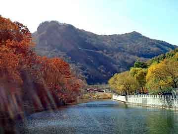 新澳天天开奖资料大全旅游团，我是一个鬼